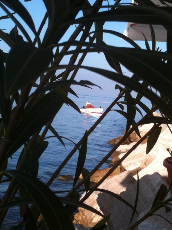 Casa Svalba Rovinj